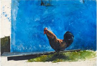 Rooster