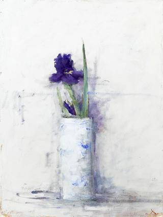 Iris