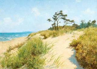 Beach with Dunes