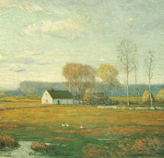 Late Afternoon
