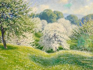Cherry Blossom Time