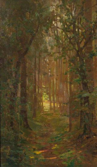 Woodland Path