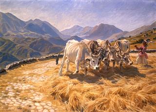 Oxen Threshing. Cività d’Antino