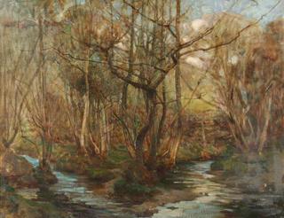 Woodland Stream