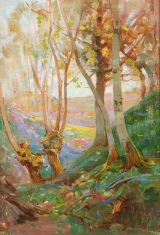 Woodland Study, East Downe