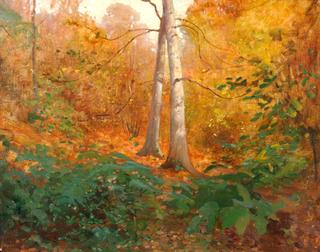 Woodland Sketch, Summerhill