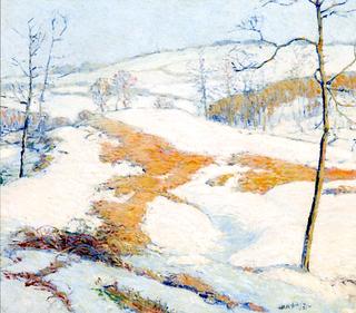 Winter Snow
