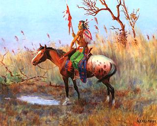 Umatilla Scout