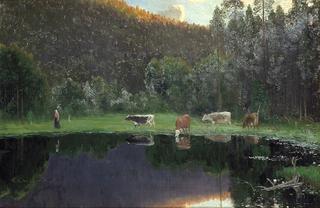 Cows by the Pond