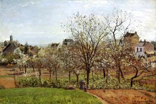 The Orchard