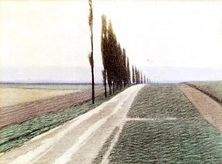 Path with Line of Poplars