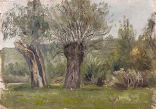Willows