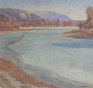 Donau in February Sunlight