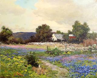 Blue Bonnets