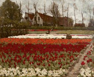 Hyacinths and tulipfields, Overveen
