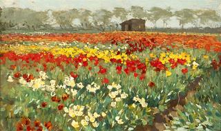 Tulip Field