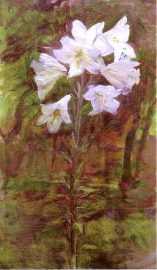 Lilies