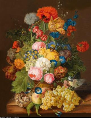 Still life with flowers, grapes and a bird's nest