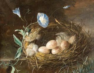 Still Life with Bird's Nest