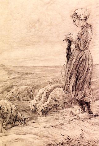 Knitting Shepherd