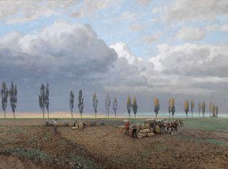 Potato Harvest in Marchfeld
