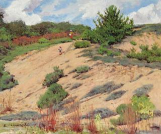 Montauk Dunes