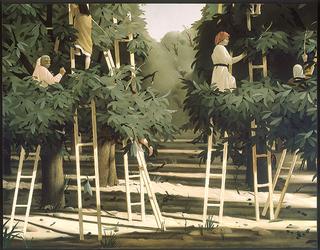 The Harvest