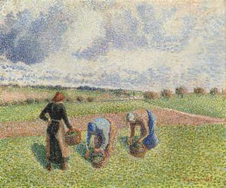 Picking Herbs, Eragny