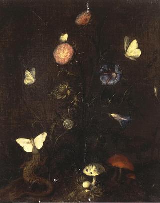 花、蜥蜴和蝴蝶