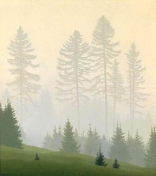 Larches in the fog