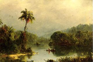 Tropical Landscape