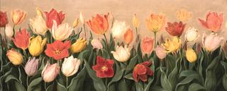 Forty Tulips