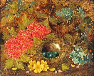 Still Life with Bird's Nest