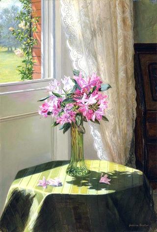 Rhododendrons by a window