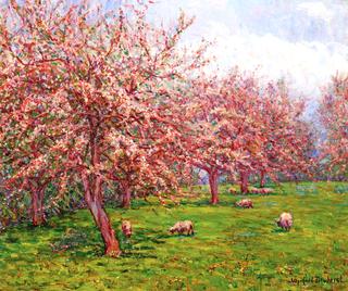Blossoms in England: Sheep in an Orchard