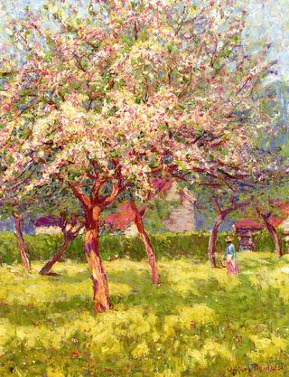 An Orchard in Bloom