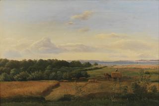 A Funen Landscape at Harvest Time with Wedellsborghoved in the Background