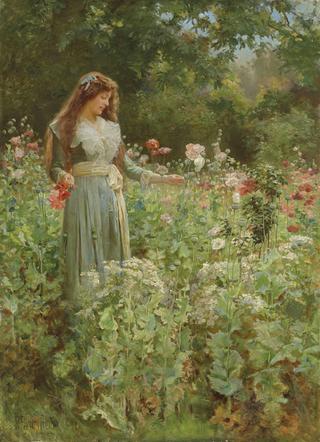 Gathering Poppies