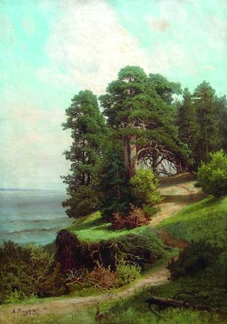 Pine Trees on the Shore