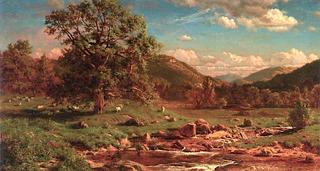Grazing Sheep at Headwaters of a Stream