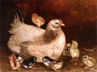 Mother Hen and Chicks