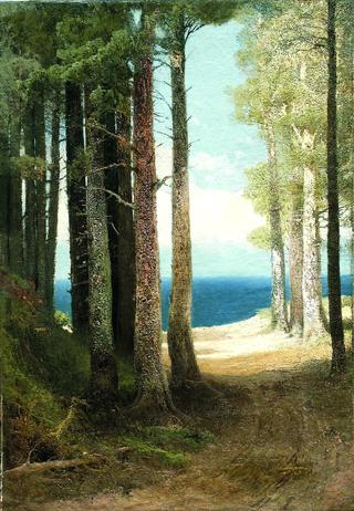 Pine Trees on the Shore