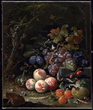 Still Life with Fruits, Foliage and Insects