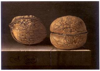 Two Walnuts