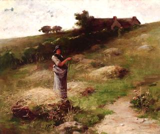 The Hay Gatherer