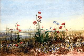 A Distant View of Derry Through a Bank of Wild Flowers