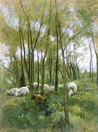 Shepherd in the Forest