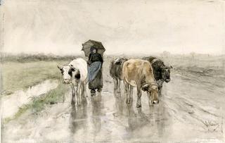 雨中在乡间小路上牵着牛的农妇