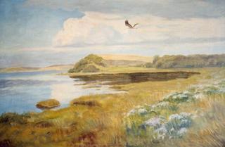 River Landscape