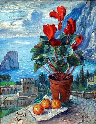 Cyclamen, Capri